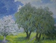 The apple tree blooms.Canvas, oil.53 x 60 cm