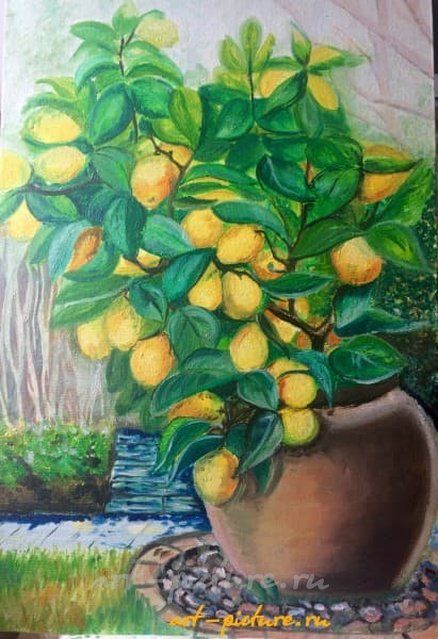 Лимонное дерево Масло, холст на оргалите 