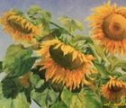 купить Подсолнухи масло, холст 