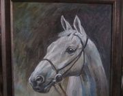 Horse canvas oil