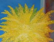 Spring mimosa new life canvas oil