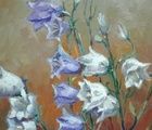 buy "Bellflowers canvas on cardboard oil"