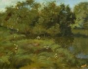 River Stazhinka.oil, canvas