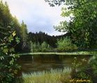 купить Озерцо Масло,холст 