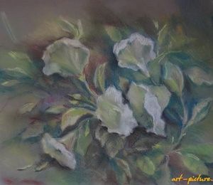 White Petunia Pastel, pastel paper