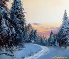 buy The translation of the text "Зимний хвойный лес масло, холст" into English is "Winter coniferous forest oil, canvas."