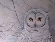 Owl canvas, acrylic