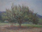 Old pear.Canvas, oil.52 x 65 cm