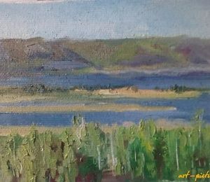 Volga. Stage from nature canvas, oil