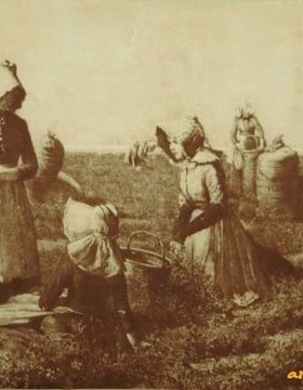 buy The translation of the text is: "Rest in the pea field, engraving on natural leather."