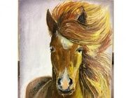 Horse Oil canvas