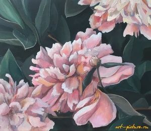 Peonies oil, canvas on the subframe