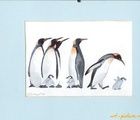 купить ПИНГВИНЫ-2 акварель