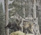 buy "Wolves oil, canvas"