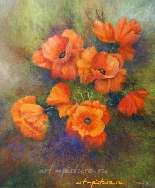 Flowering poppies oil, canvas