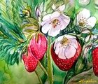 buy The translation of "клубника бумага, акварель" into English is "strawberry paper, watercolor."