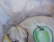Bruno with an apple watercolor, paper