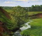 купить Вид на речку масло, холст