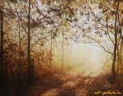 Morning foggy canvas in a golden forest, butter