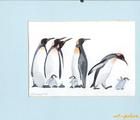 Статуэтка Penguins-2 watercolor