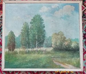 Birch grove oil, canvas