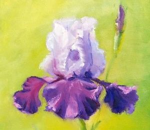 Proud iris oil, canvas on cardboard