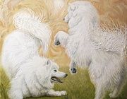 Играющие собаки холст, масло