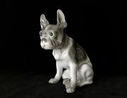 Statete "French bulldog" Hutschenreuther Germany 1925-1929