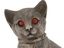 Русская серебряная фигурка кошки с вырезанными узорами - копилка