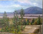"Princess"-Volga landscape canvas, oil