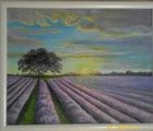 купить Лавандовое поле масло, картон,рамка 