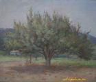 Статуэтка Old pear.Canvas, oil.52 …