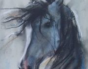 Horse's head pastel, paper