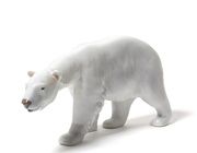 White polar bear
