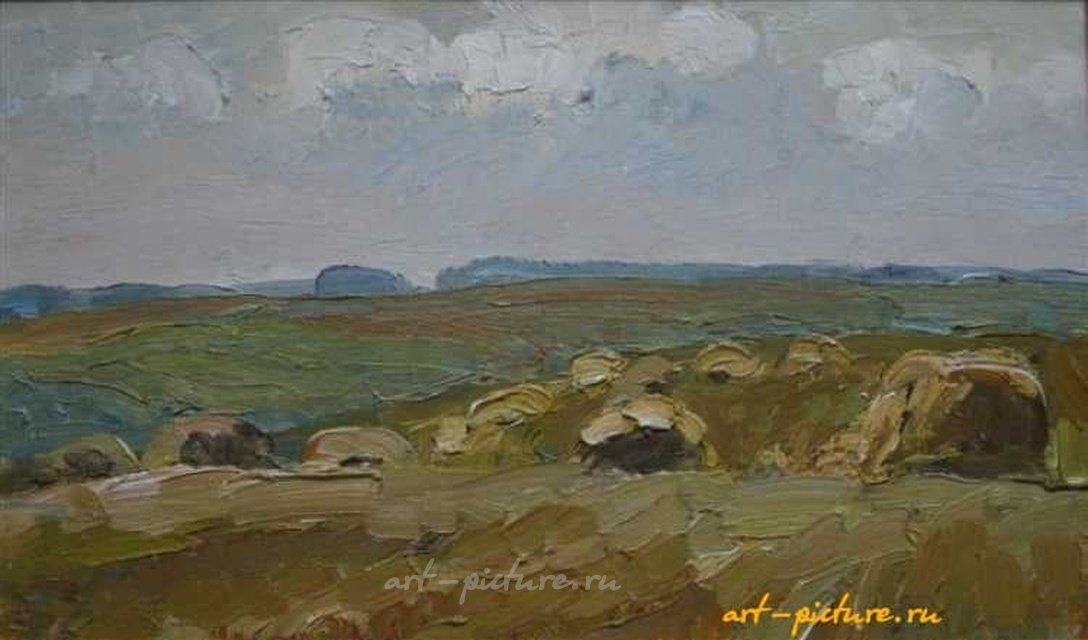 Поле. Картон, масло. 33 х 55 см
