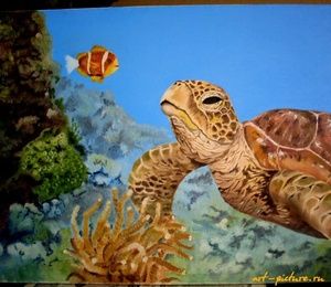 Turtle oil, canvas