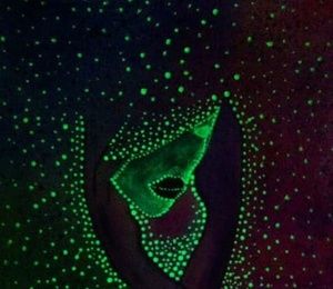Light canvas, acrylic