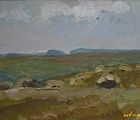 купить Поле. Картон, масло. 33 х 55 см