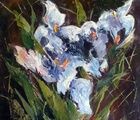 купить Ирисы масло,холст