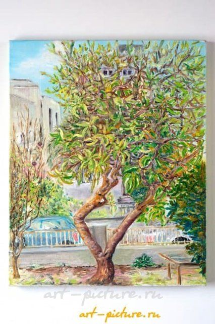 Дерево,  г.Пафос (Кипр) масло, холст 