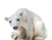 Sitting polar white bear