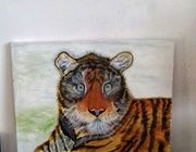 Ussuri tiger canvas, oil