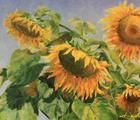 Статуэтка Sunflower oil, canvas