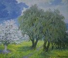 купить Яблоня цветет. Холст, масло. 53 х 60 см