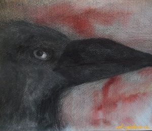 Raven Watercolor, pencil, watercolor paper